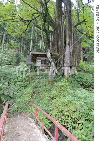 Power Spot Army Kuri Shrine Okunosha and Otsuni Power Spot Army Kuri Shrine Okunosha and Otsuni 5883482
