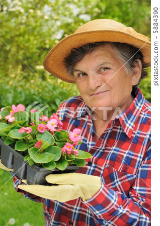 Senior woman - gardening 5884390