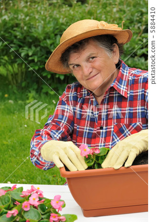 Senior woman - gardening 5884410
