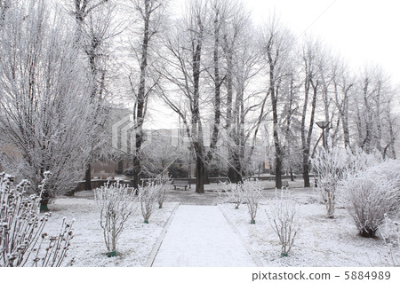 City park. Alba, Italy. 5884989