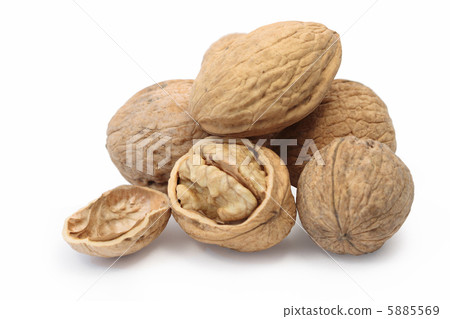 Circassian Walnut 5885569