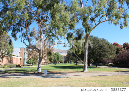 University of California Riverside 5885877