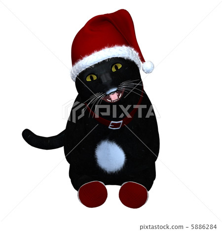 Black Cat Santa 5886284