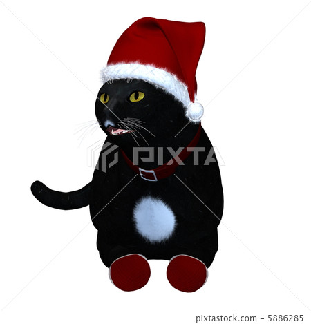 Black Cat Santa Black Cat Santa 5886285