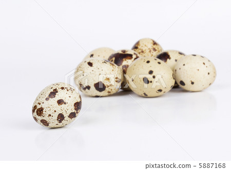 Quail eggs Quail eggs 5887168