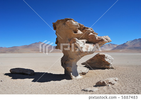 A strange rocky tree. Bolivia · siroli desert. Shot taken in August 2010 5887483