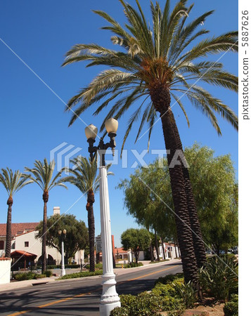 America California Los Angeles blue sky and palm tree Palm tree 5887626