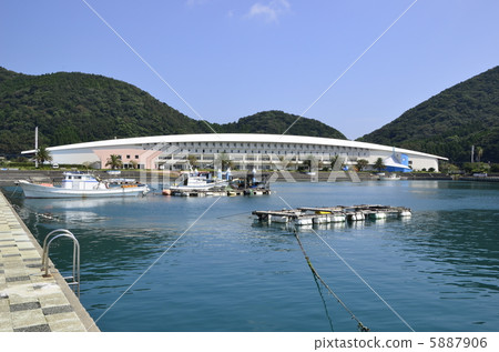Marine Culture Center 5887906