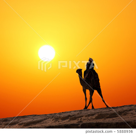 bedouin on camel silhouette against sunrise 5888936