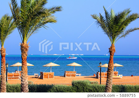 palm trees and tropical beach palm trees and tropical beach 5889755