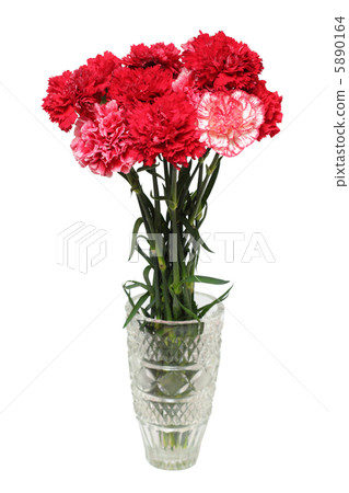 carnation flowers bouquet in vase 5890164