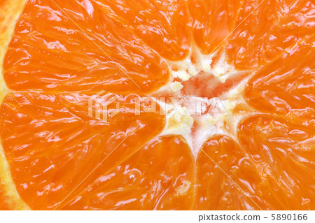 orange citrus fruit section 5890166