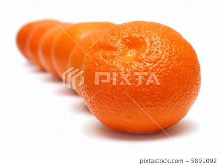 mandarins in row mandarins in row 5891092