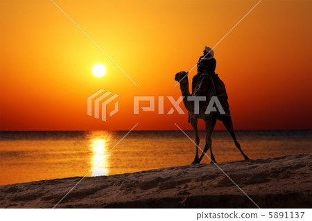 bedouin on camel silhouette against sunrise 5891137