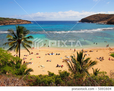 哈瑙瑪灣 哈瑙瑪灣 5891604