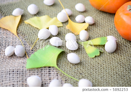 Ginkgo and Persimmon 5892253