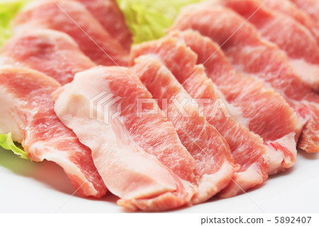 Up of swine Toro 5892407