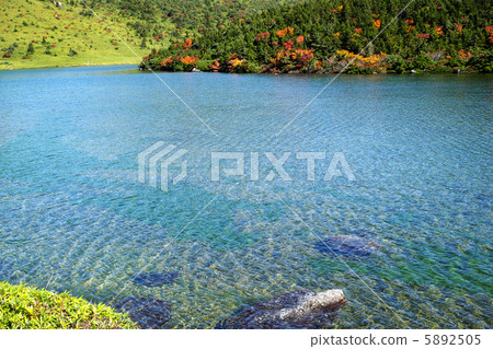 Kamanuma Kamanuma 5892505