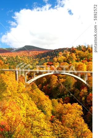 Autumn leaves of Tamagawa Onsen 5892572