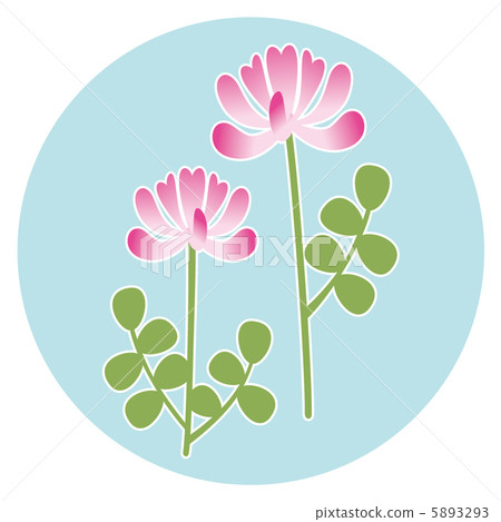 黃芪 5893293