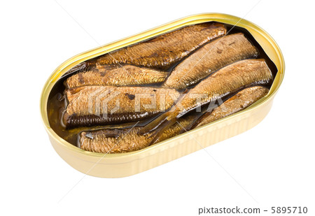 Sprat fish canned isolated 5895710