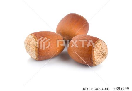 Three ripe hazelnuts 5895999