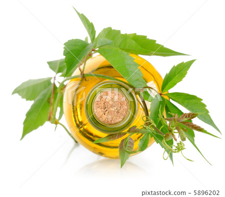 White wine and vine isolated 5896202