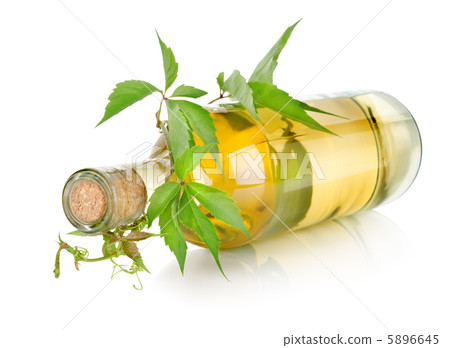 White wine and vine White wine and vine 5896645