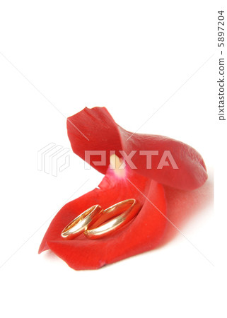 Close-up love 5897204