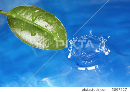 Nature Nature 5897327