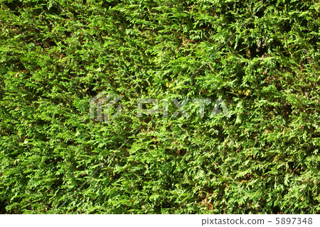 Hibaki Hibaki 5897348