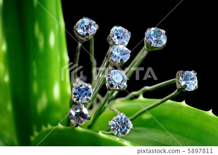 Diamonds on greenery 5897811