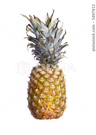 Pineapple 5897912