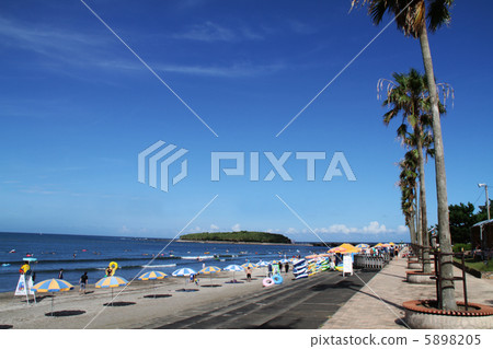 Miyazaki Prefecture Miyazaki City Qingdao Beach 5898205
