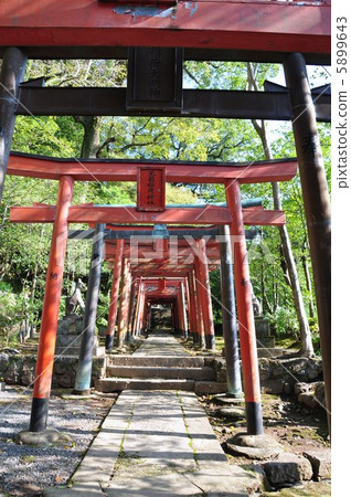 Su訪神社鎮西大社 5899643