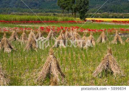 Rural scenery of Kameoka in Kyoto 5899834