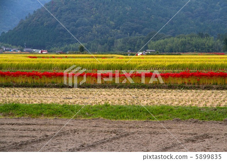 Kameoka農村風景在京都 5899835