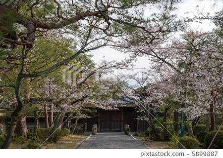 Nomura Bettei Hakusounoso Nomura Bettei Hakusounoso 5899887