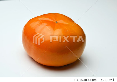persimmon persimmon 5900261