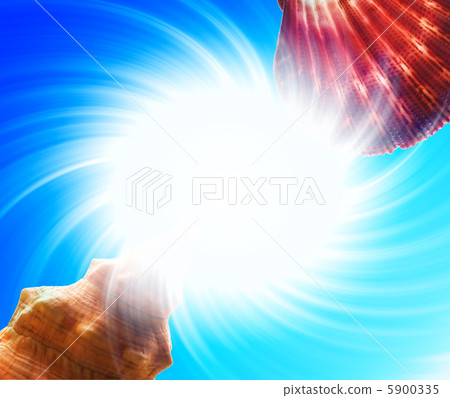 Abstract seashell border 5900335