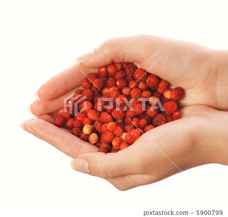 Handful of strawberries isolated on white background Handful of strawberries isolated on white background 5900799