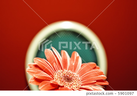 Abstract picture of a red flower Abstract picture of a red flower 5901097