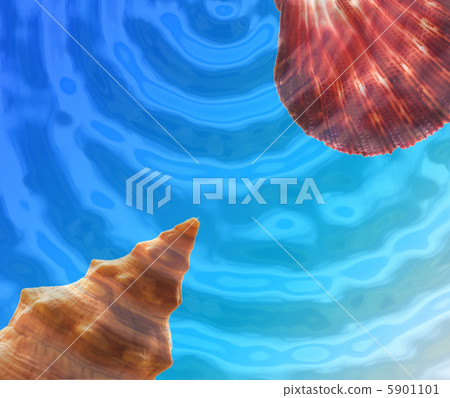 Seashell border 5901101