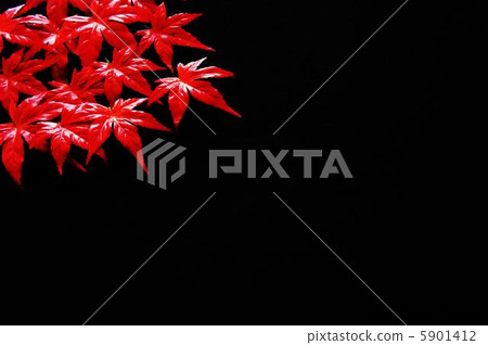 Background material (autumn leaves) 5901412