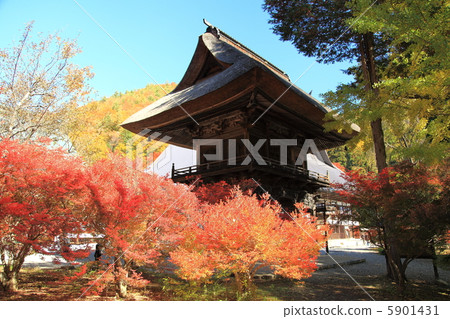 精神歌曲寺廟門和秋葉 - 在Omachi 5901431