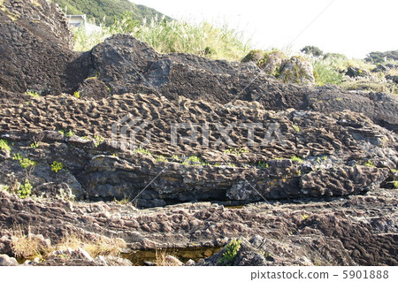 波紋標記化石石頭 5901888