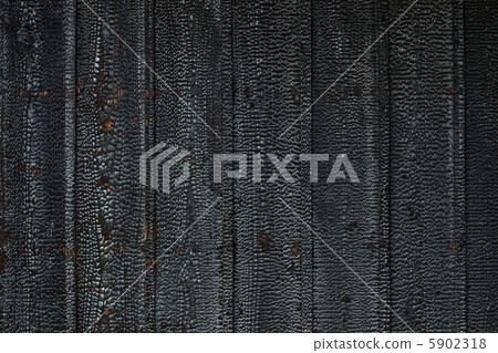 明亮的黑雪松 5902318