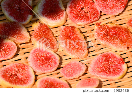 曬乾的身材 曬乾的身材 5902486