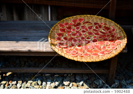 曬乾的身材 曬乾的身材 5902488