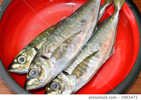 Aji Aji 5903471